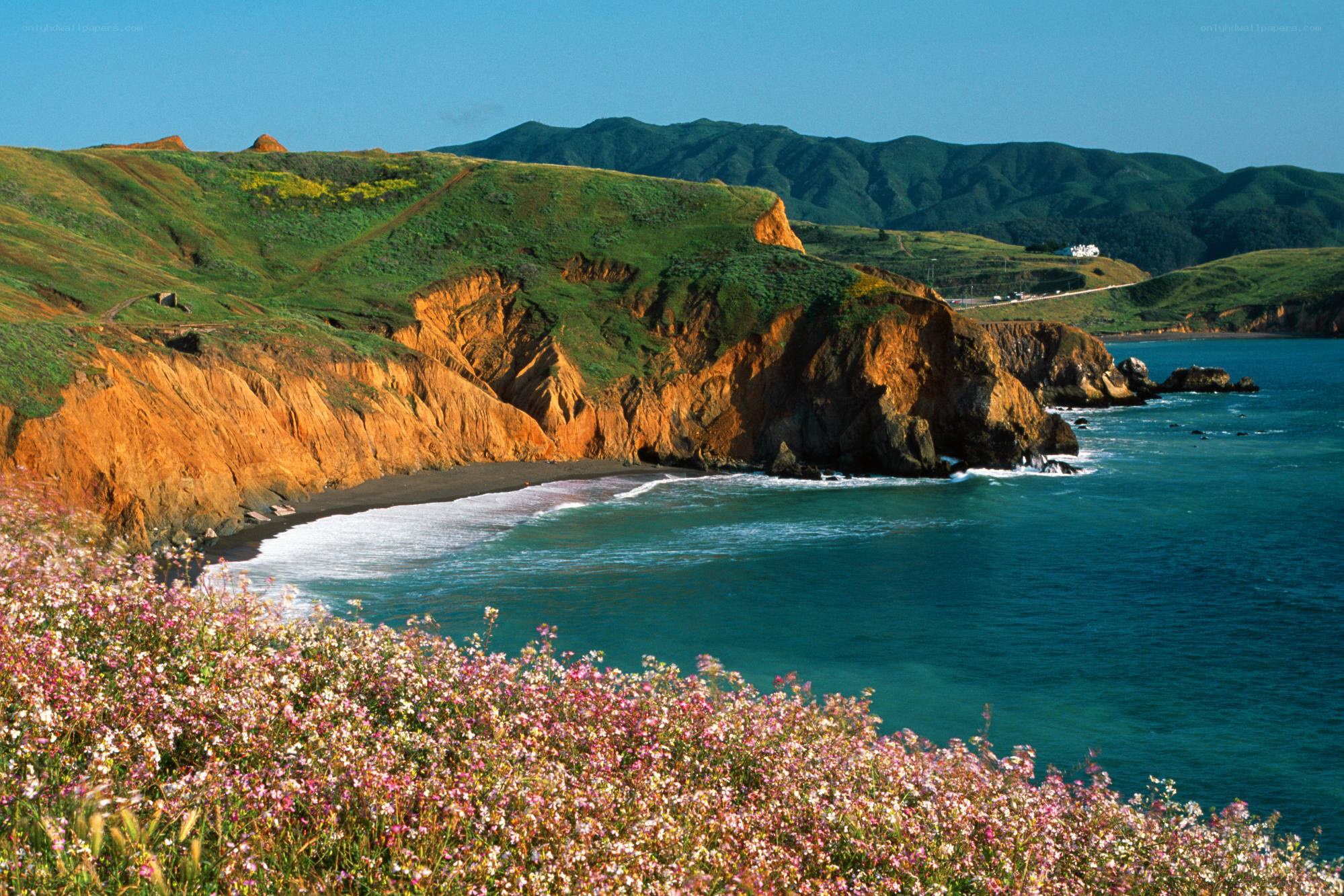 coastal cliffs with wildflowers