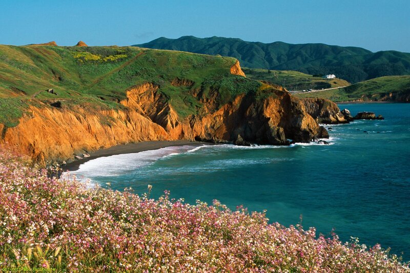 Coastal Cliffs with Wildflowers — Green