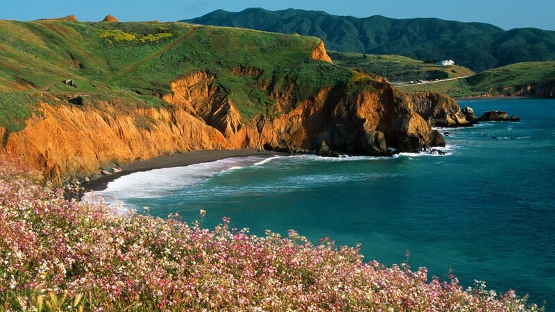 coastal cliffs with wildflowers