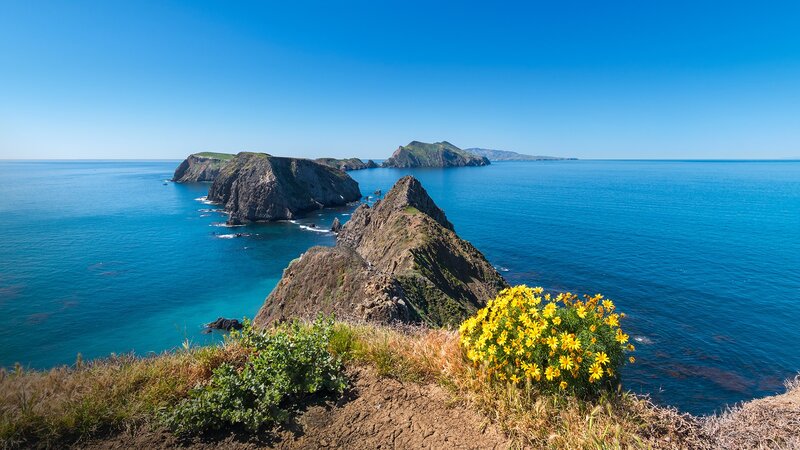 Coastal Cliffs with Yellow Flowers — Blue, Serene, Afternoon