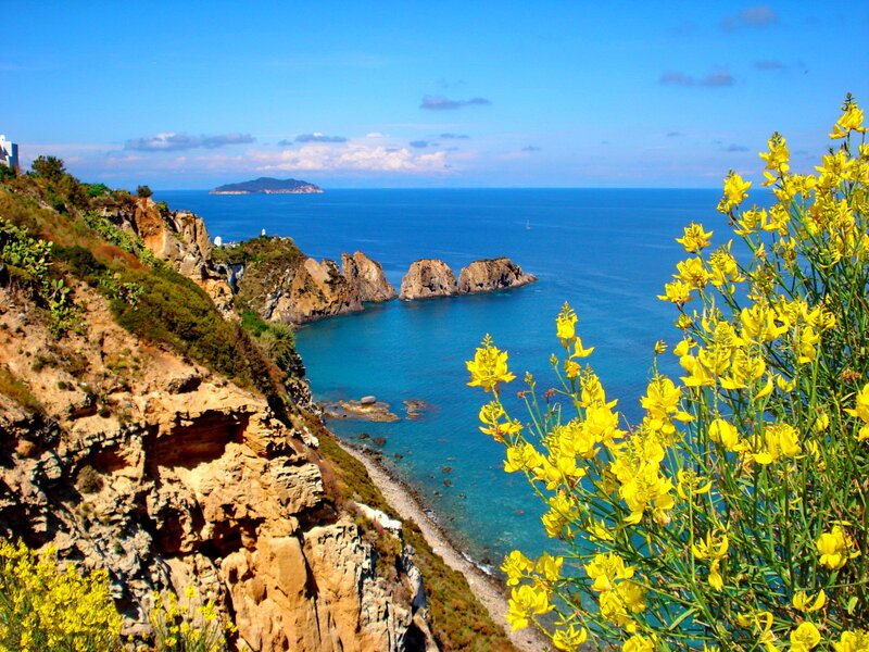 Coastal Cliffs with Yellow Flowers — Blue, Serene