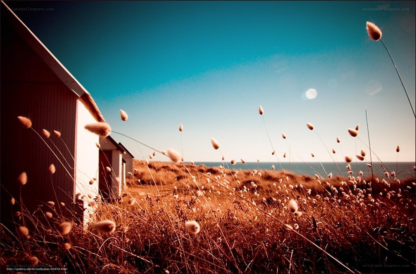 Coastal cottage with wild grass