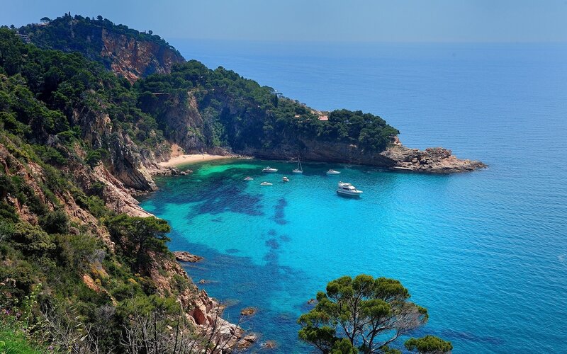 Coastal Cove with Boats — Blue