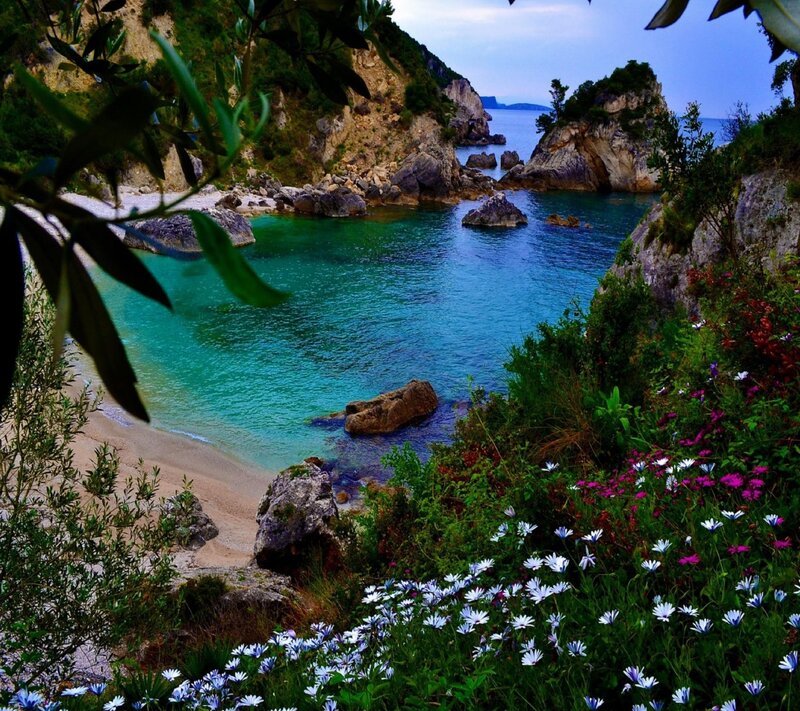 Coastal Cove with Flowers — Blue, Serene, Afternoon, Photograph