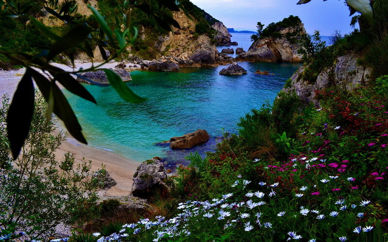Coastal Cove with Flowers — Blue, Serene