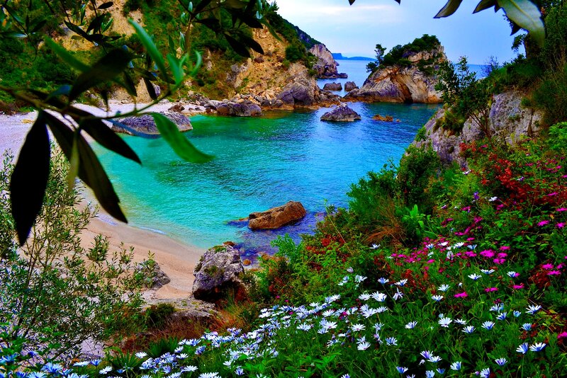 Coastal Cove with Flowers — Blue