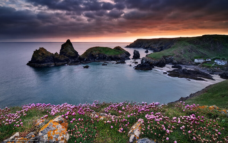 Coastal Cove with Flowers — Purple, Dramatic