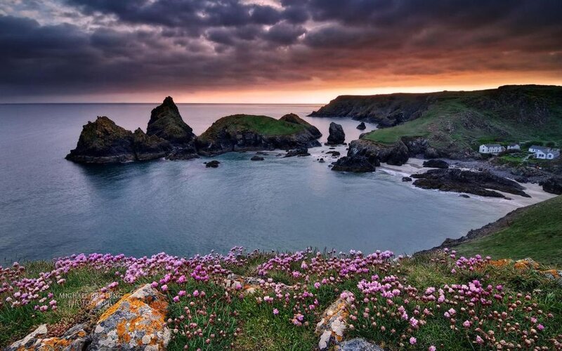 Coastal Cove with Flowers — Purple