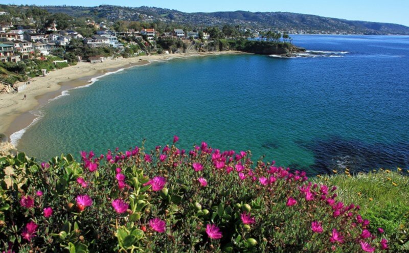 Coastal Cove with Flowers