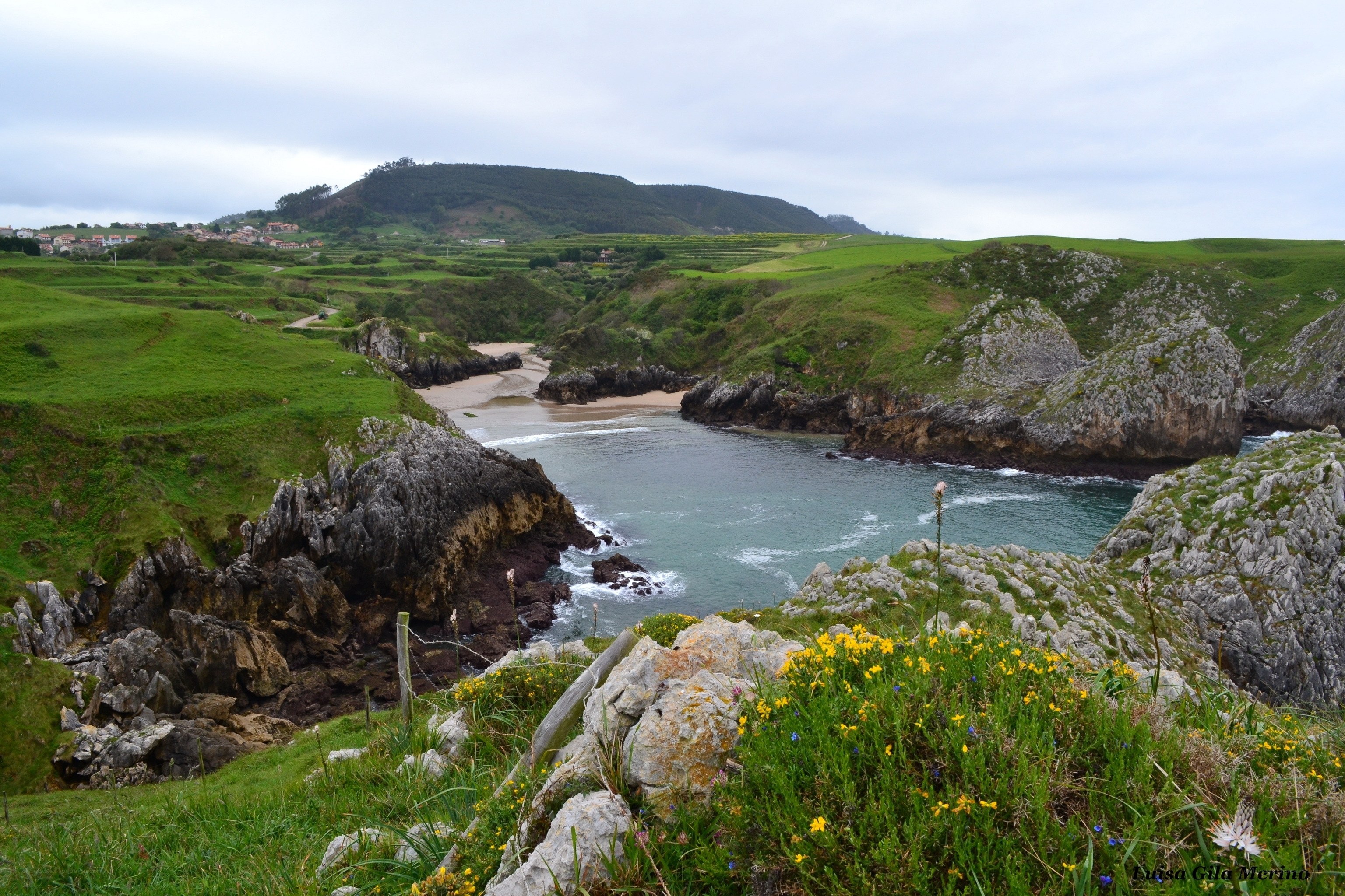 coastal cove with green hills