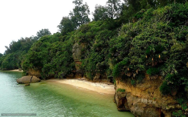 coastal cove with green water