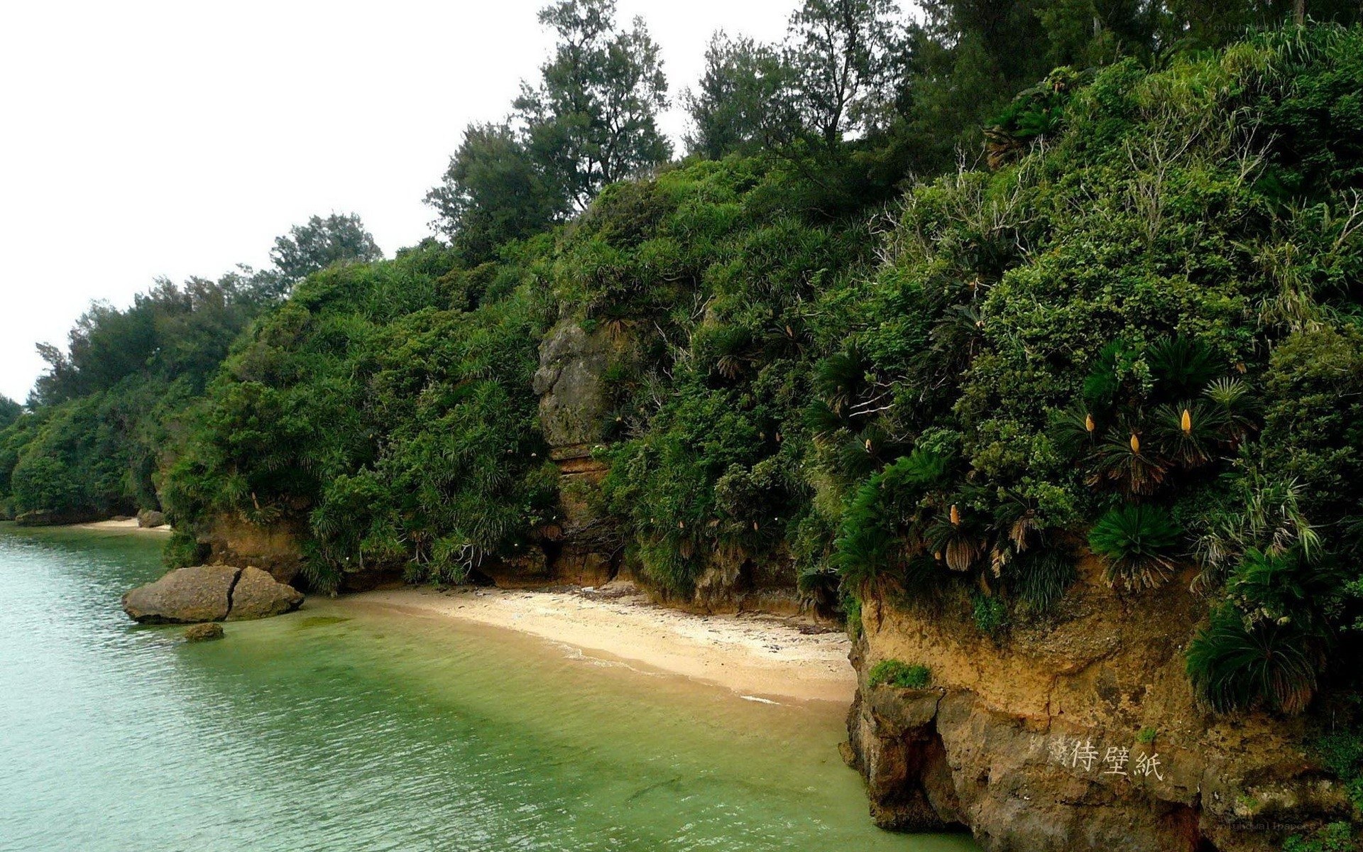 coastal cove with green water