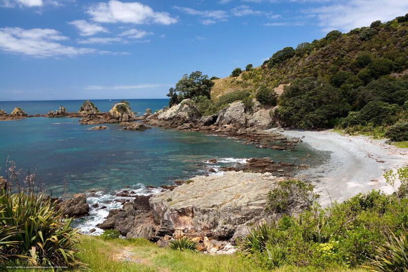 Coastal Cove with Rocks — Blue, Serene, Afternoon, Photograph, Trees, Beach