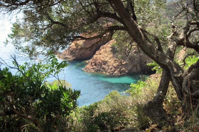 Coastal Cove with Rocks — Green