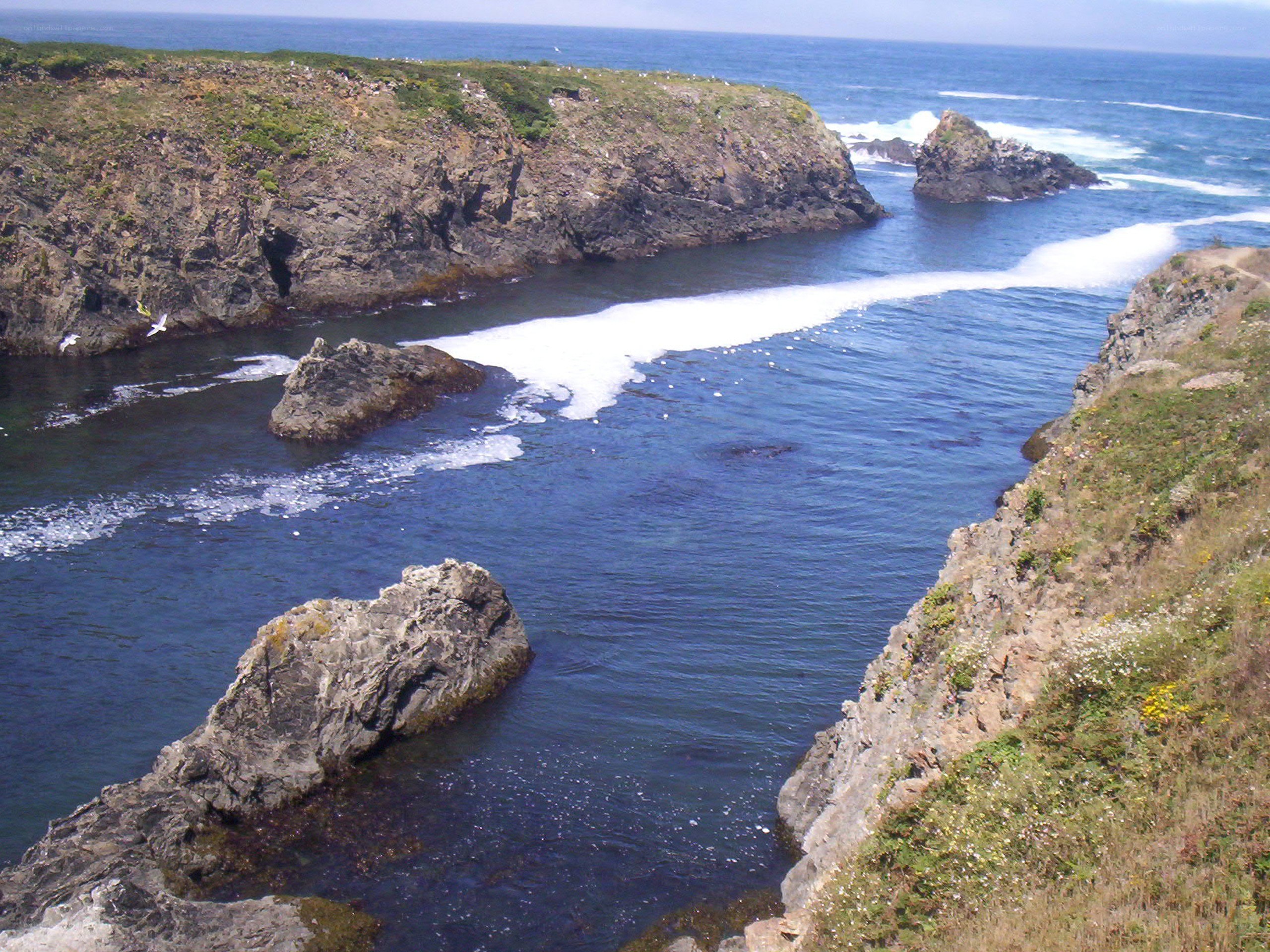 coastal cove with rocky cliffs