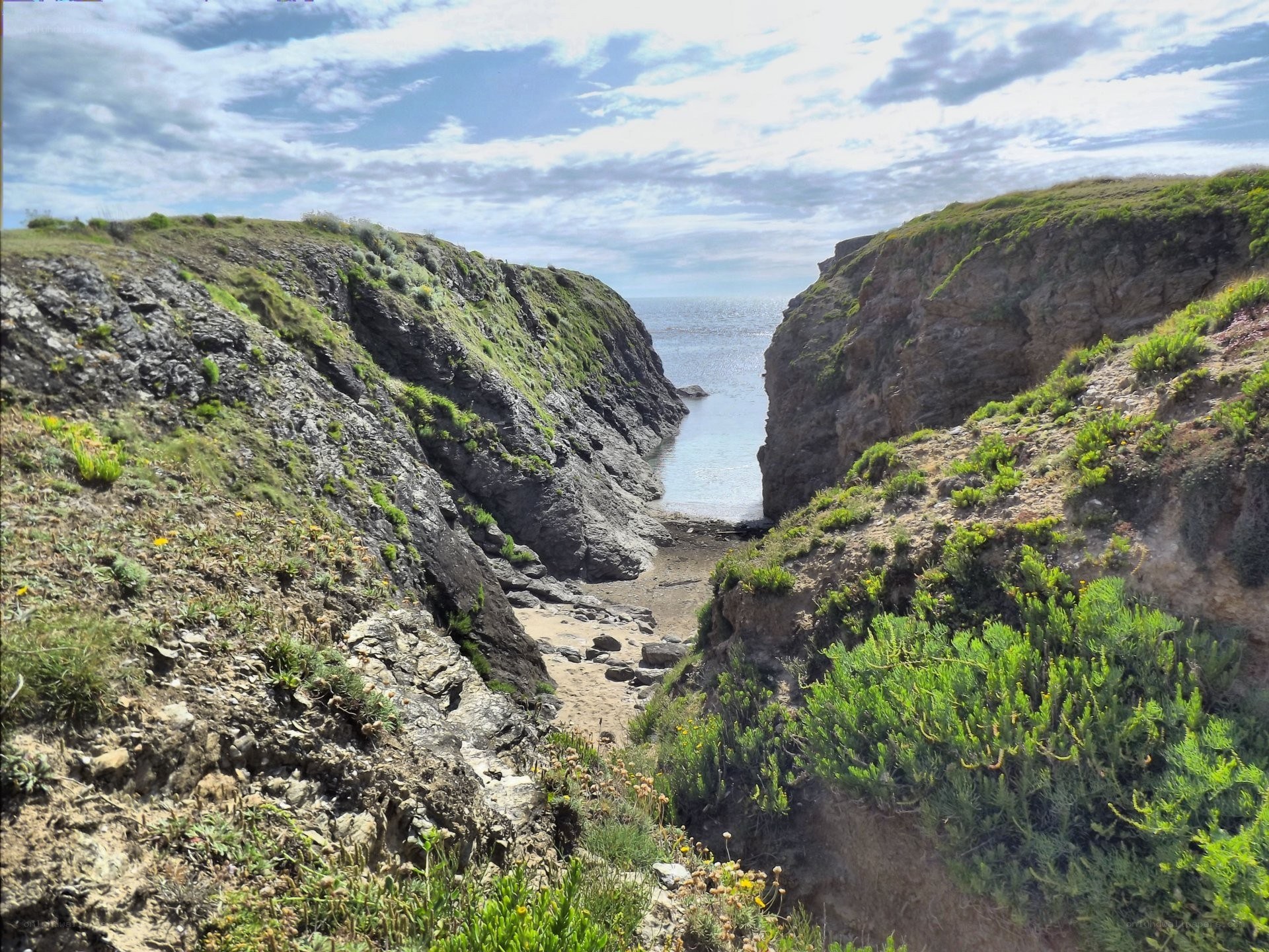 coastal cove with rocky cliffs