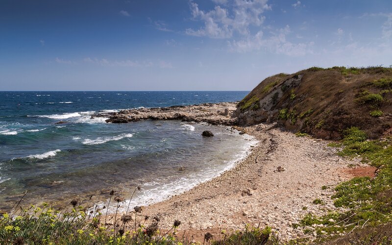 coastal cove with rocky shore