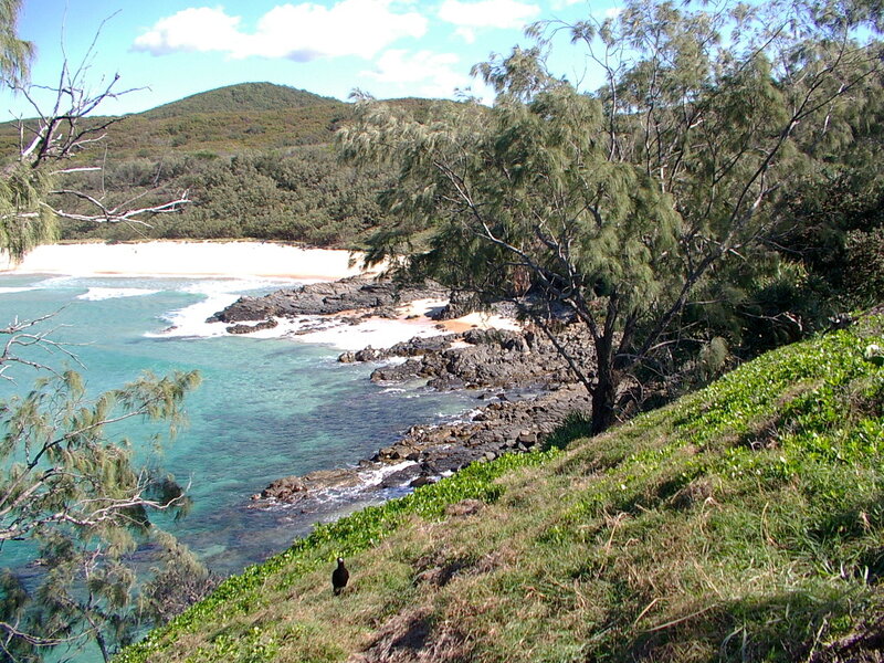 coastal cove with rocky shore