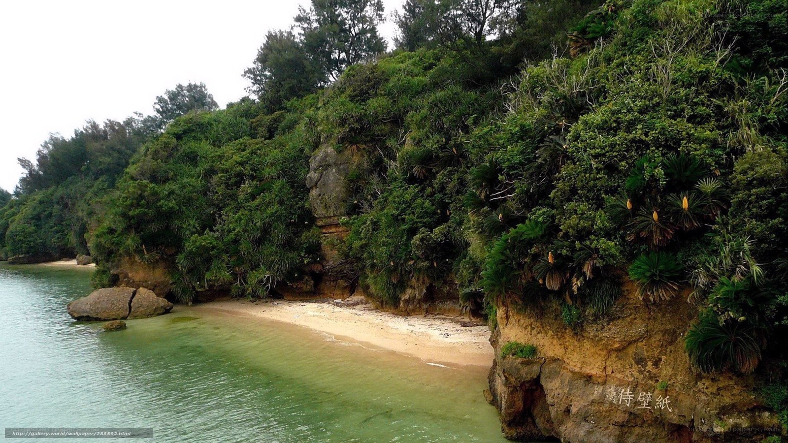 coastal cove with sandy beach