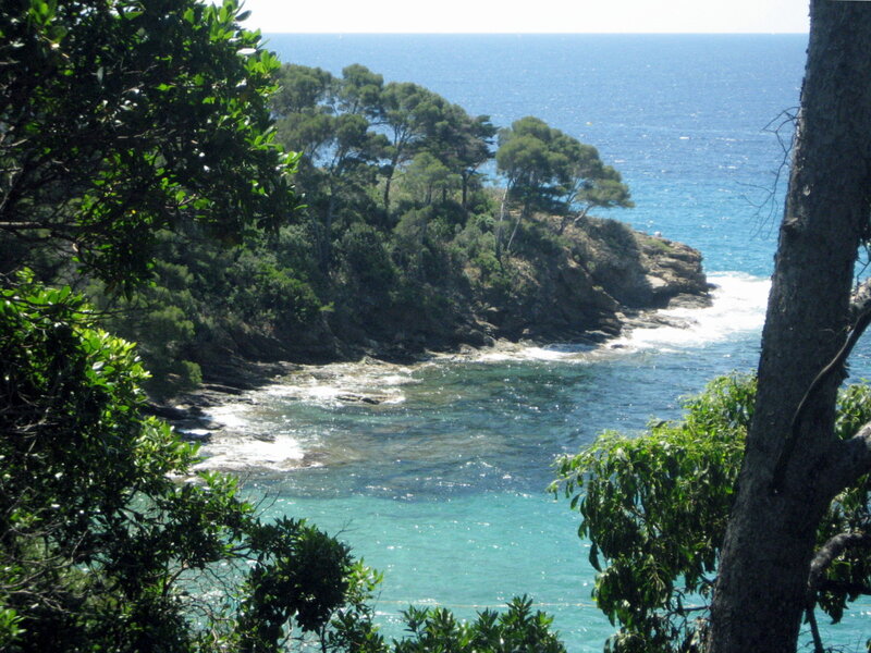 Coastal Cove with Trees