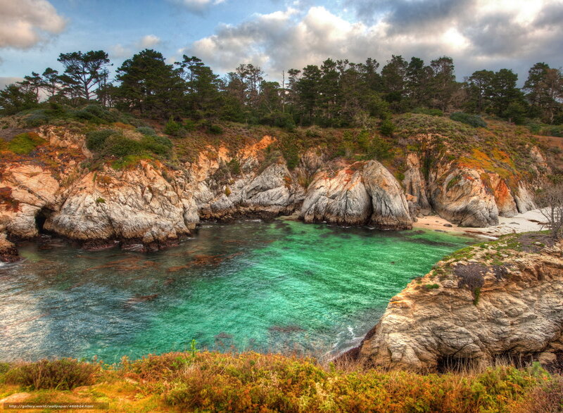 Coastal Cove with Turquoise Water — Green, Serene, Afternoon