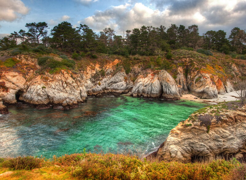 Coastal Cove with Turquoise Water — Green, Serene