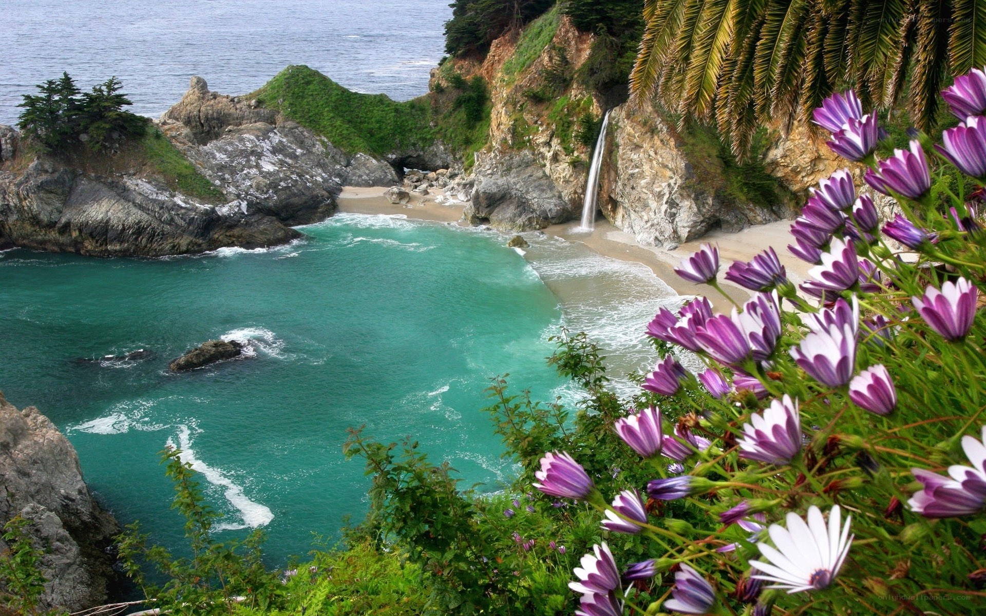 coastal cove with waterfall