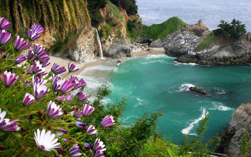 Coastal Cove with Waterfall — Green, Serene