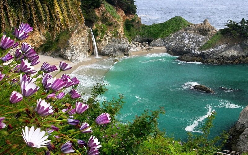 Coastal Cove with Waterfall — Green
