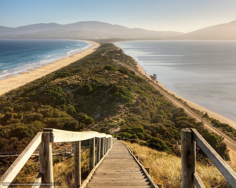 coastal dune pathway