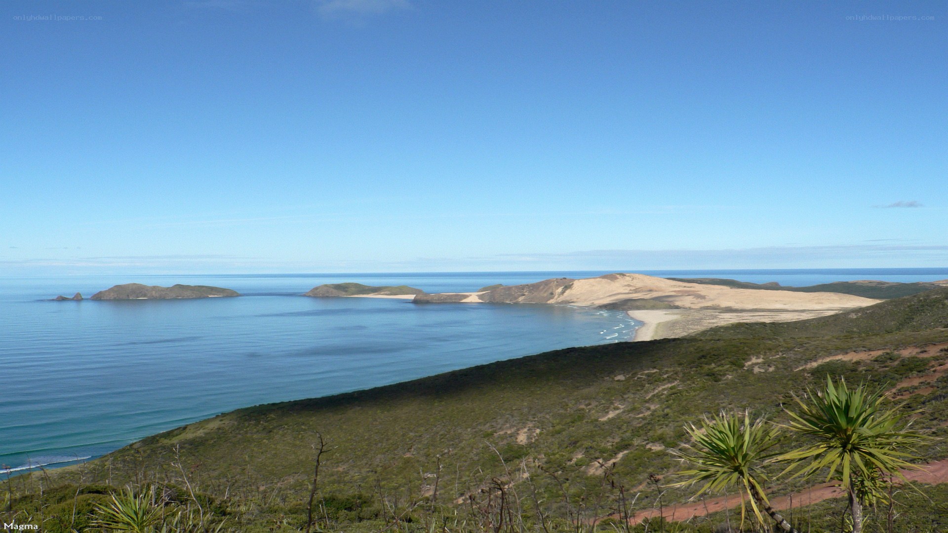 Coastal dunes and islands