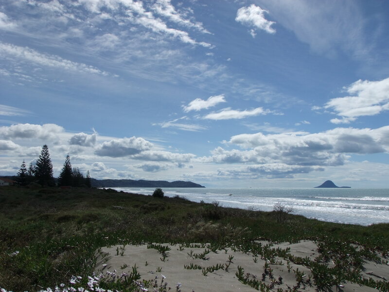 Coastal Dunes and Ocean — Blue