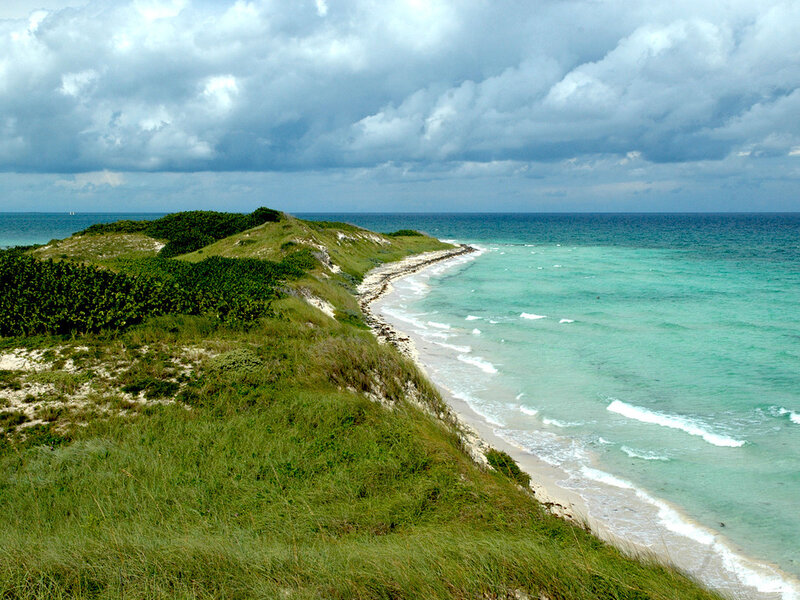 Coastal Dunes and Ocean — Green