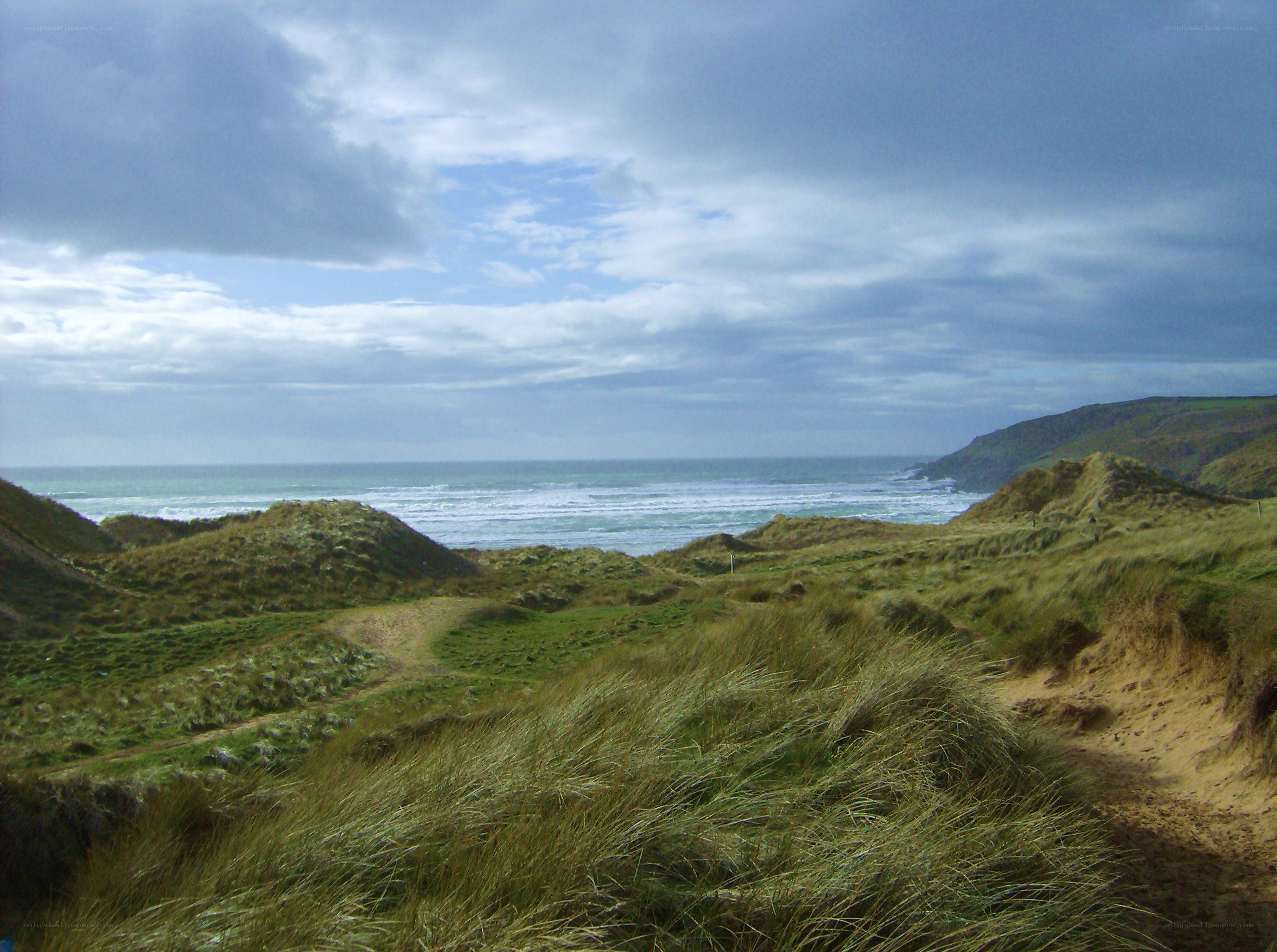 coastal dunes and ocean view