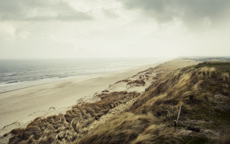 coastal dunes and ocean view