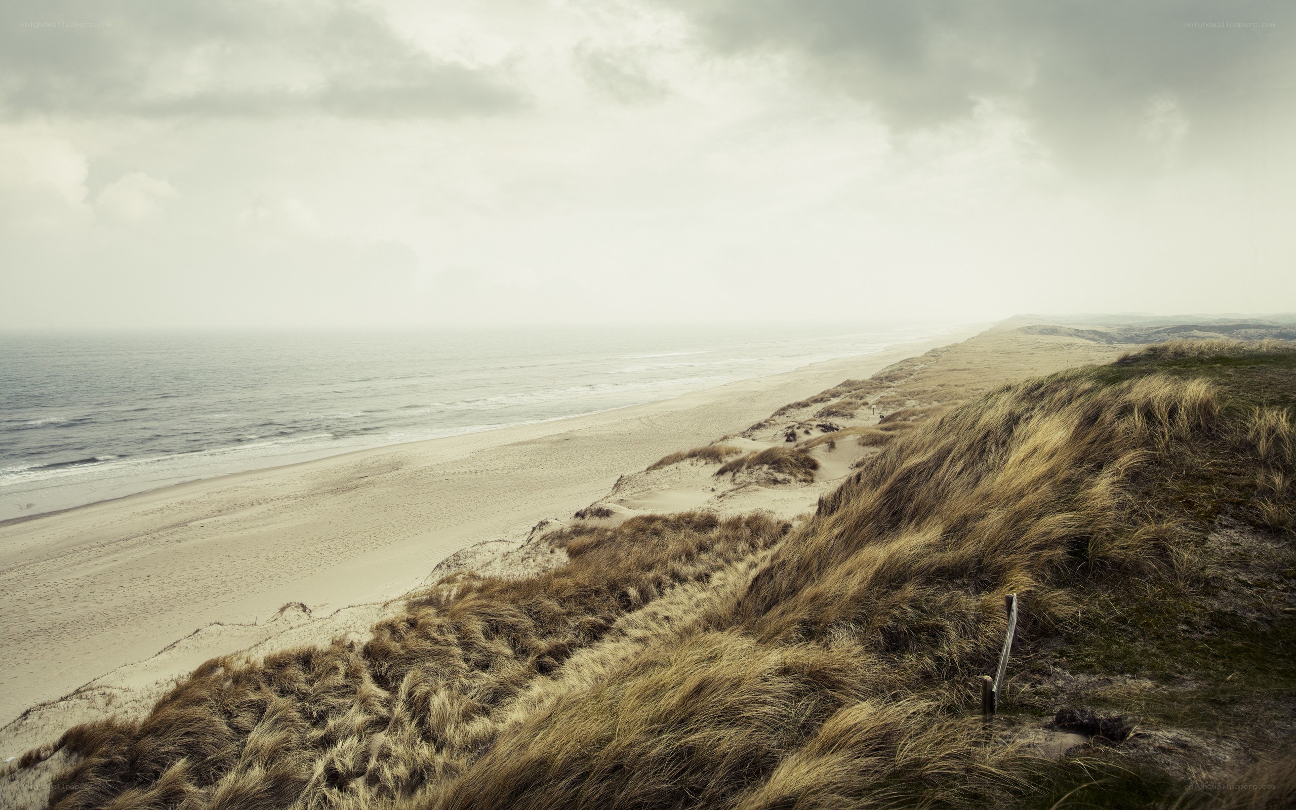 coastal dunes and ocean view
