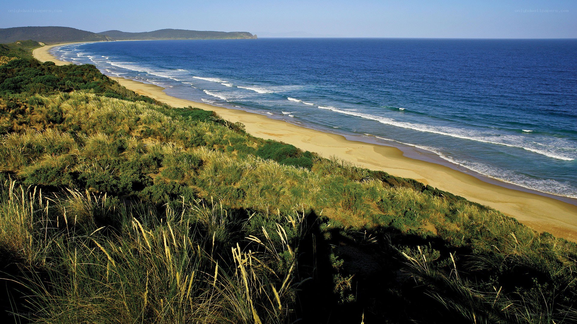 coastal dunes and ocean view
