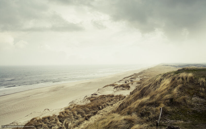 coastal dunes and ocean view