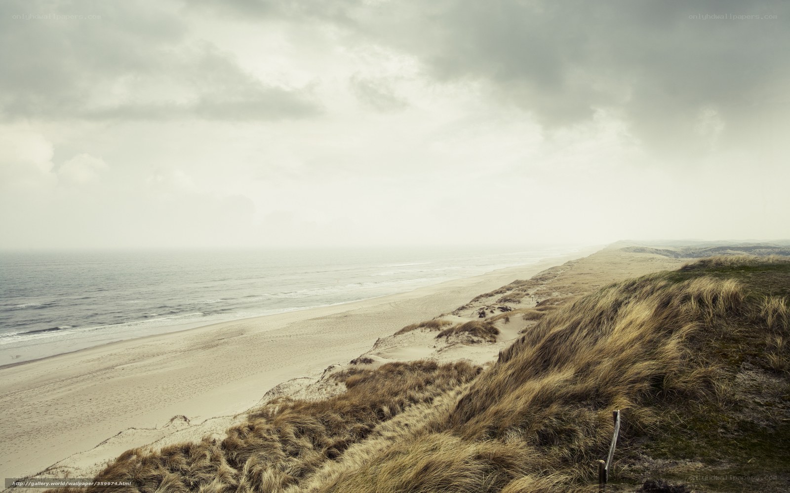 coastal dunes and ocean view