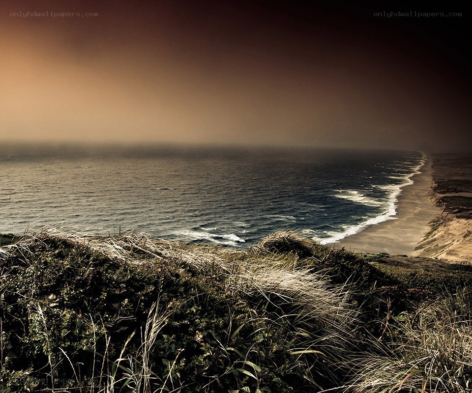 coastal dunes at dusk