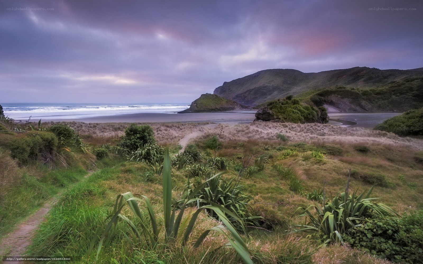 coastal dunes at dusk