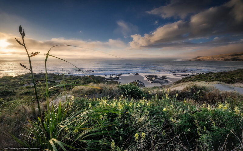 Coastal dunes at sunrise