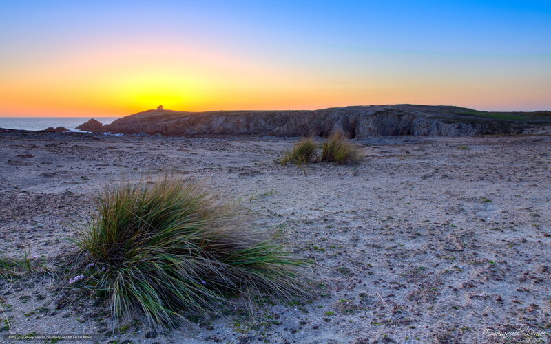 Coastal Dunes at Sunset — Blue