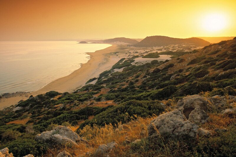 Coastal Dunes at Sunset — Orange, Serene, Photograph, Beach