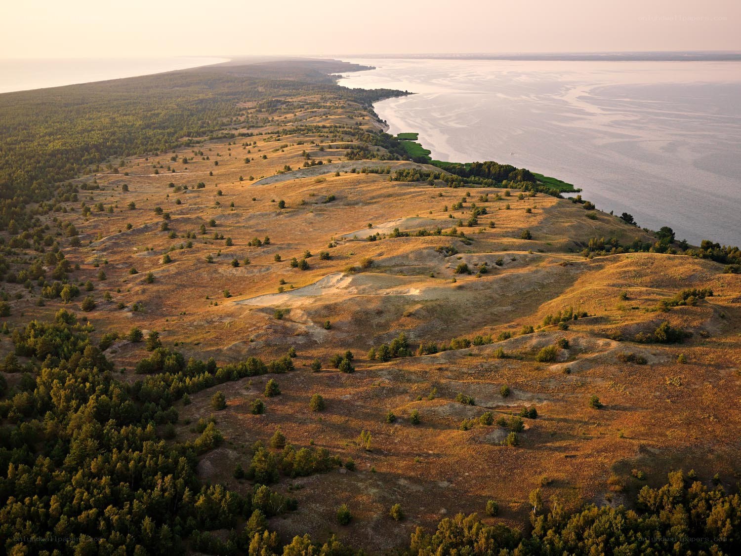 Coastal dunes at sunset