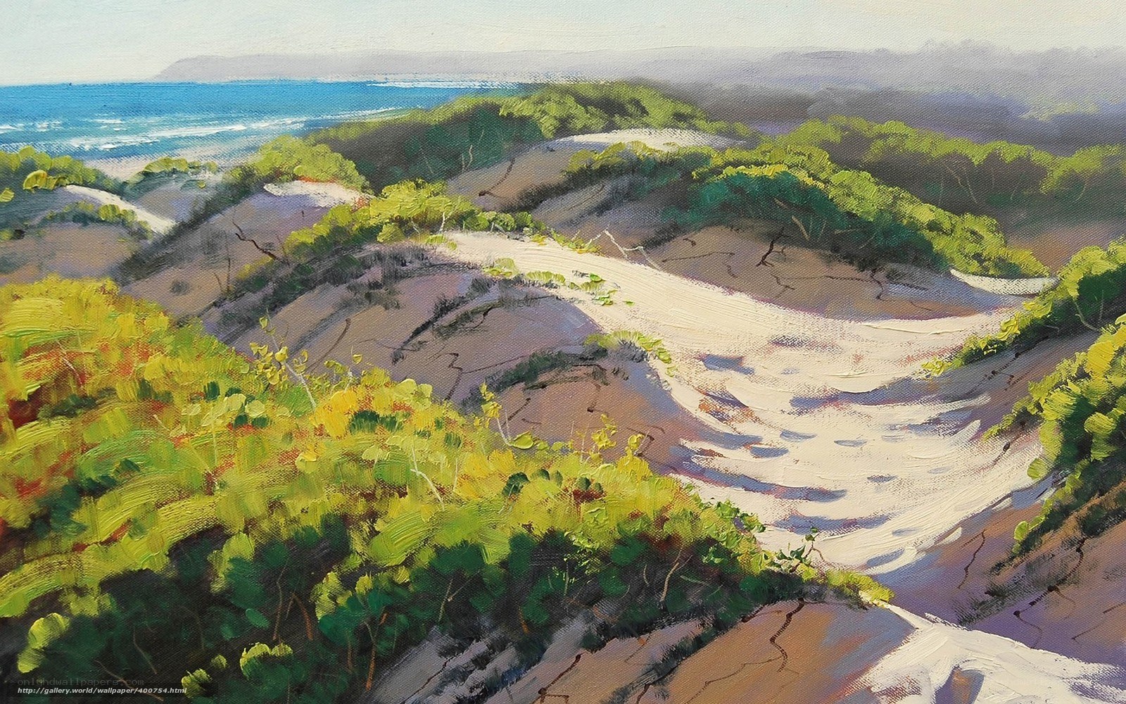 Coastal Dunes Landscape