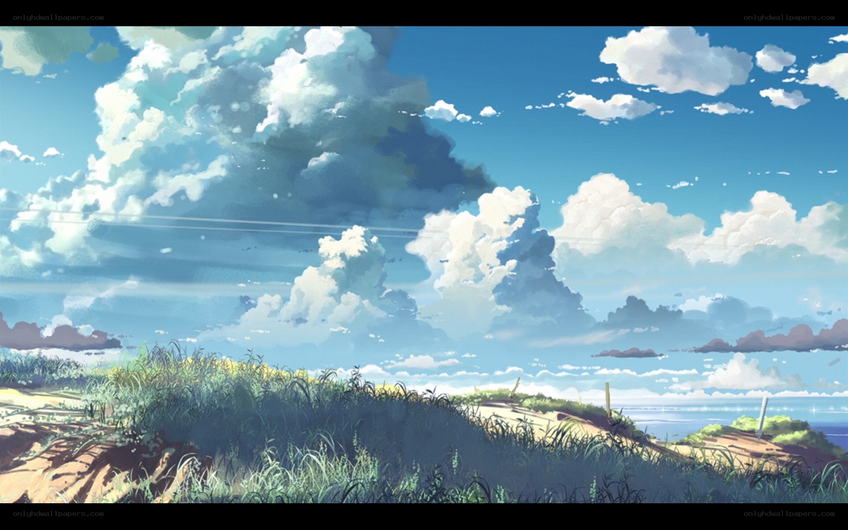 Coastal dunes under a cloudy sky