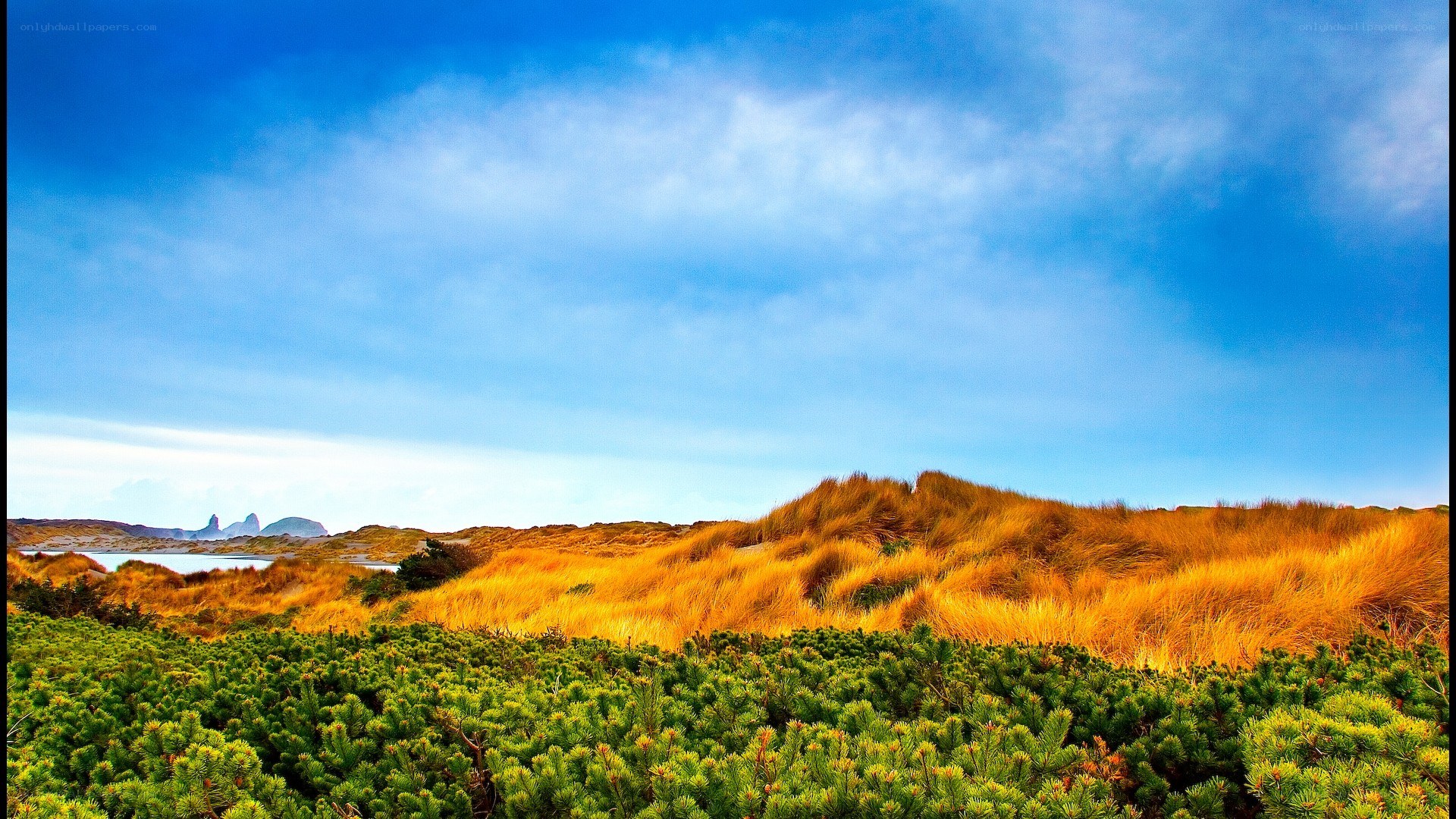 Coastal dunes under blue sky