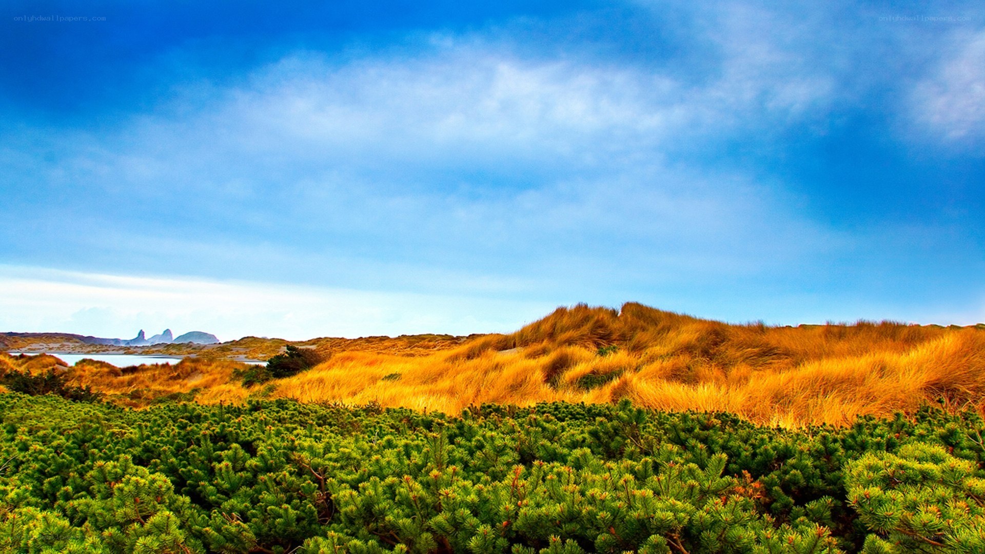 Coastal dunes under blue sky