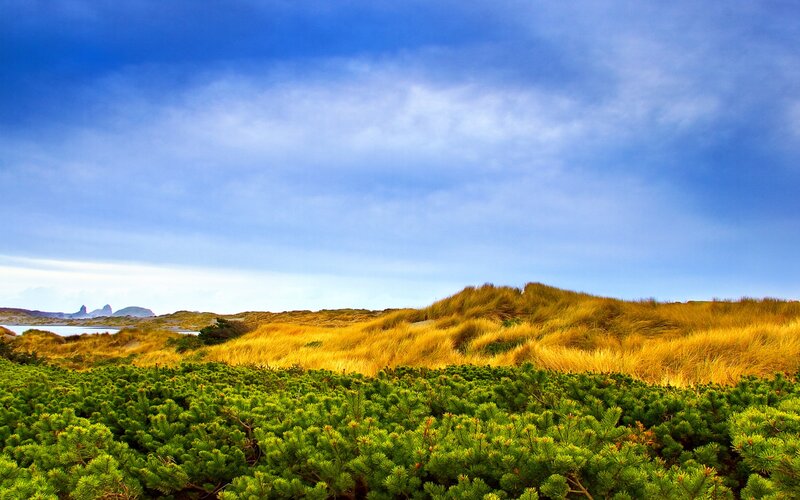 Coastal dunes under blue sky